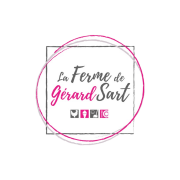 logo gs